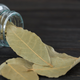 Illustration for article titled Speak Now If You Have Any Idea What a Bay Leaf Actually Tastes Like
